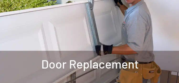  Door Replacement 